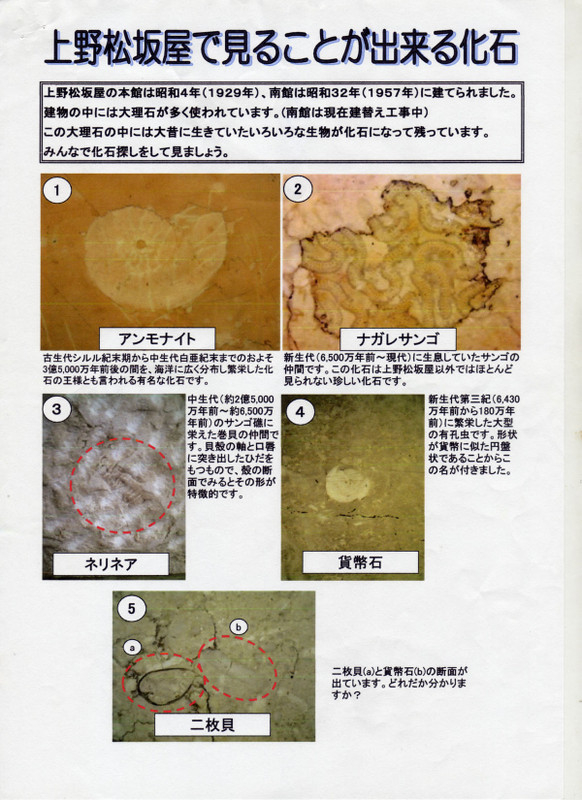 Matsuzakaya_65b
