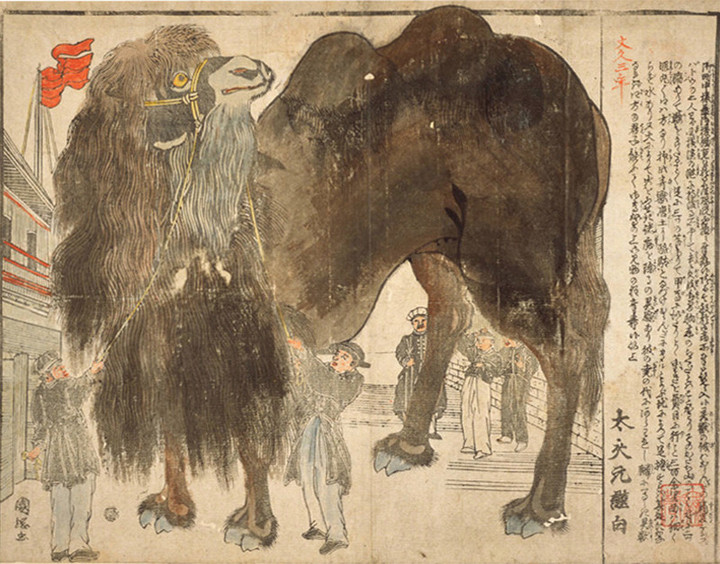 Toyobunko_misemono02