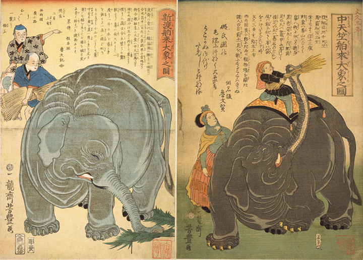 Toyobunko_misemono04