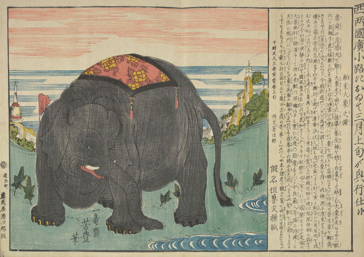 Toyobunko_misemono05