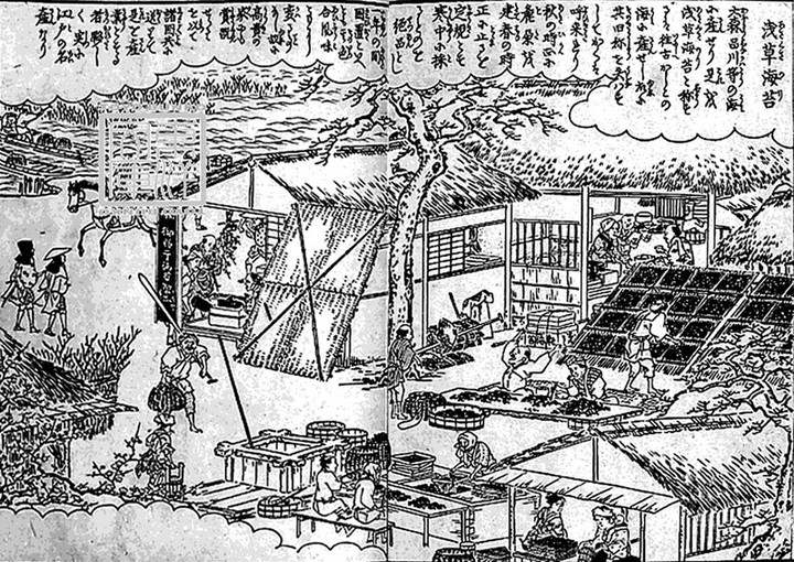 Asakusanori91