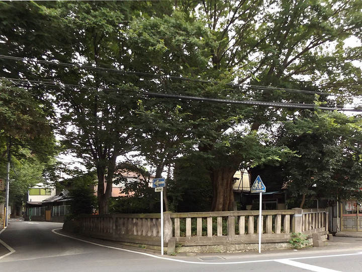 Urawa_nakasendo1