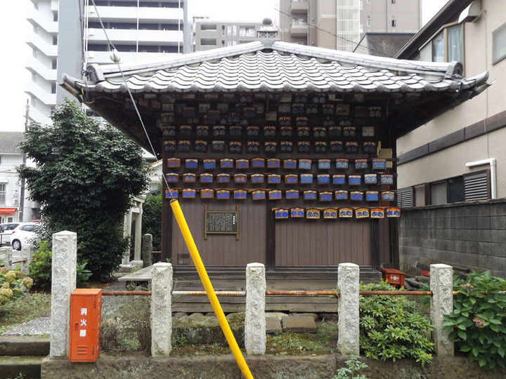 Urawa_torayakushi3 Urawa_torayakushi3