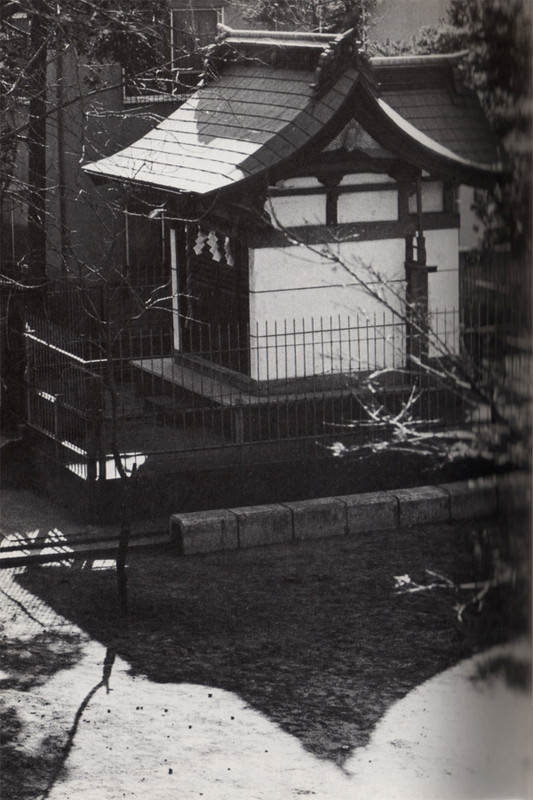 Warabi_hatajinjya9
