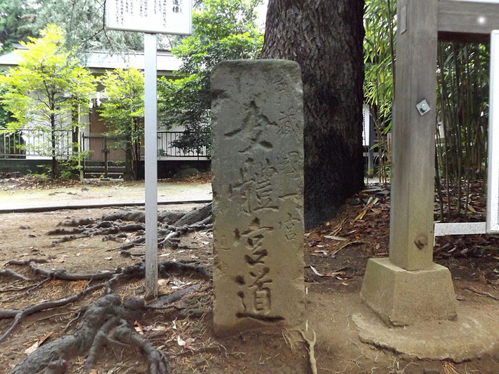 Urawa_hikawa04