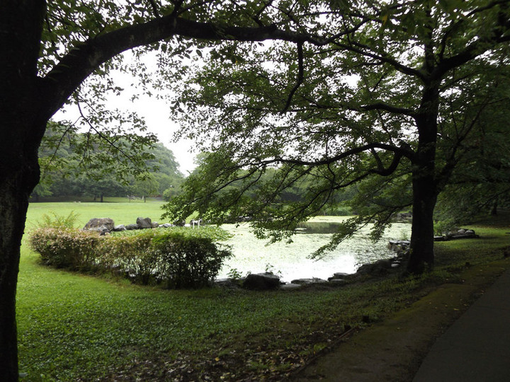 Urawa_hikawa06