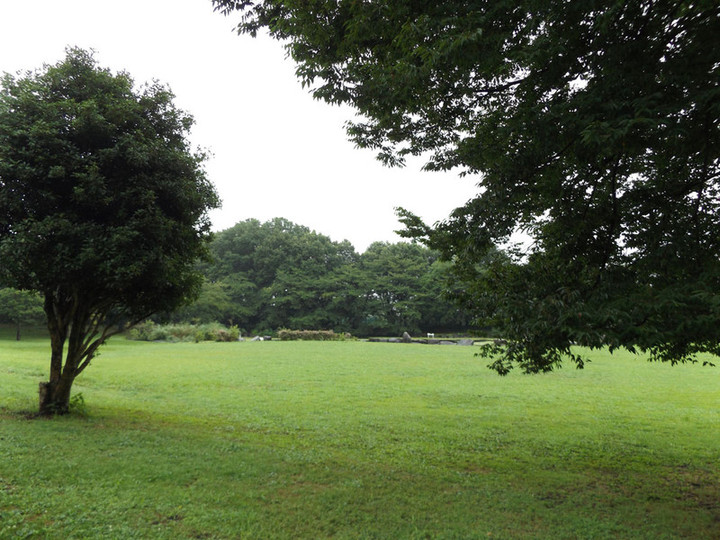 Urawa_hikawa08