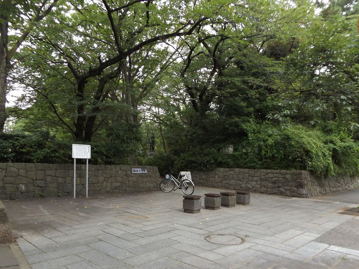 Warabi_shiro01