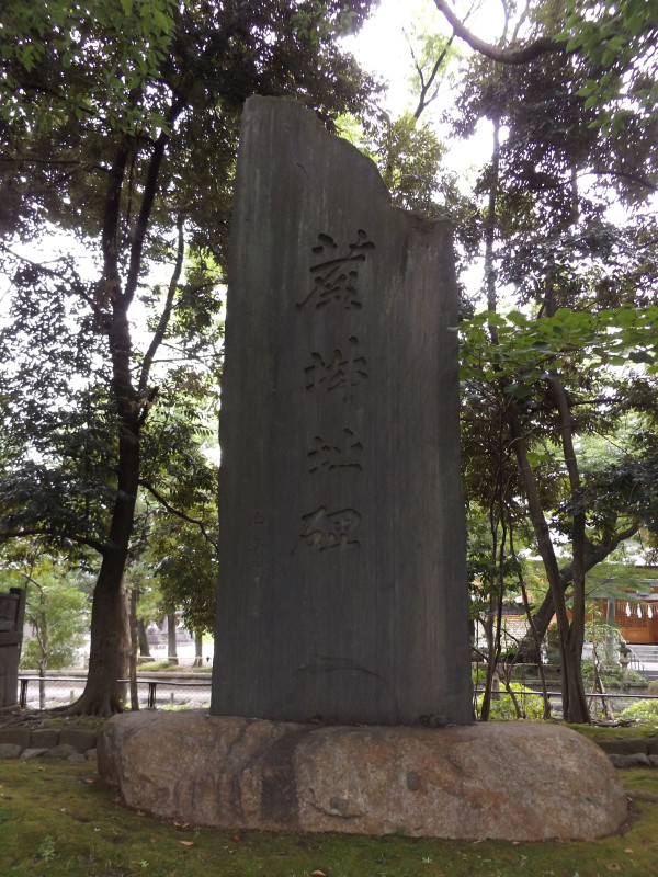 Warabi_shiro02
