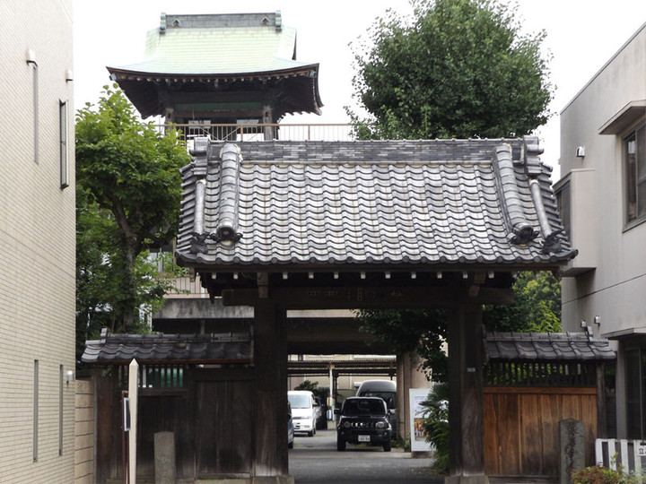 Warabi_shiro11