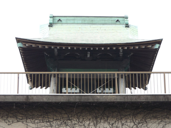 Warabi_shiro12