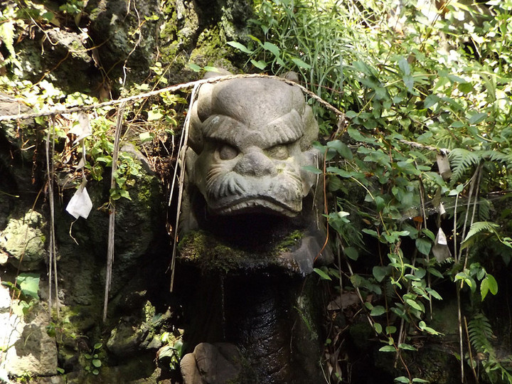 Wakou_seiryu2