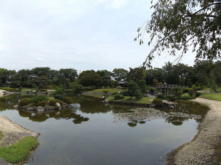 Koshigaya_hanada7