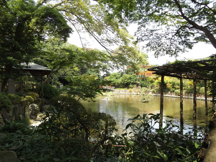 Koshigaya_hisaizu2