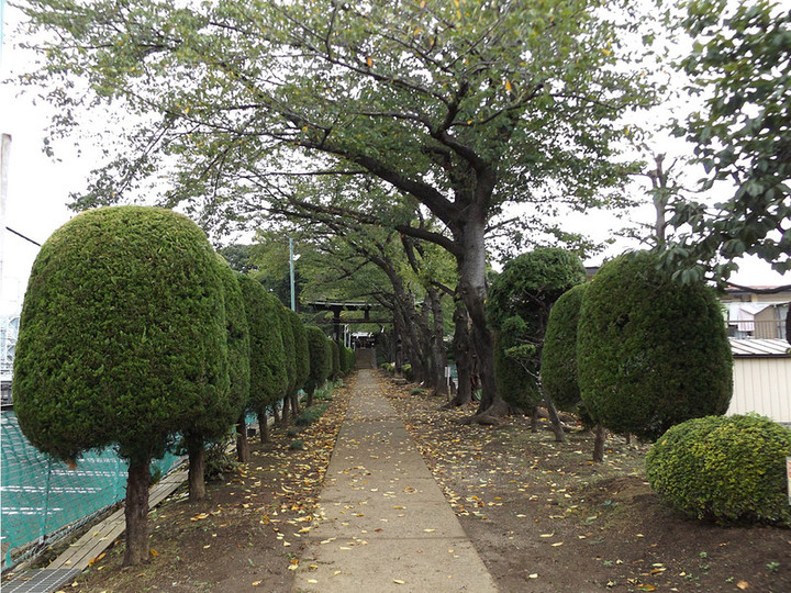 Kawaguchi_tsurugamaru1