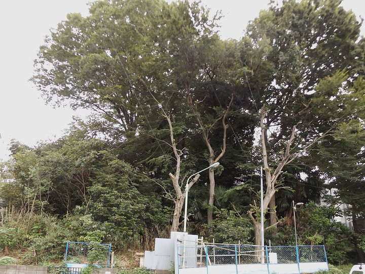 Kawaguchi_koyaba3