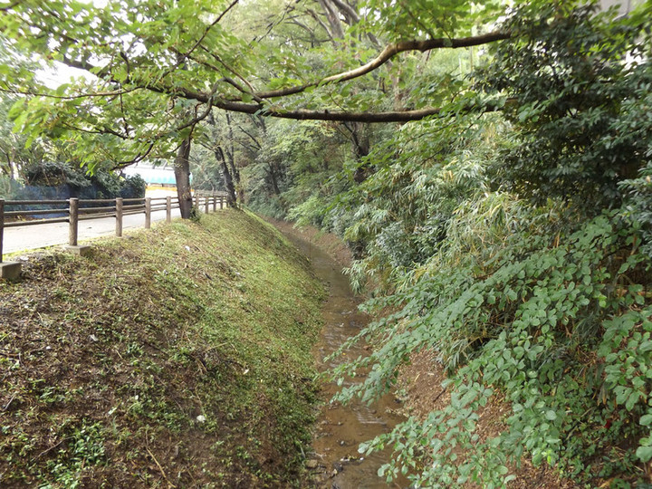 Urawa_minuma6 Urawa_minuma6