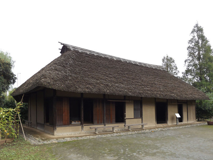 Urawa_hasumi01