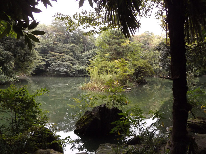 Todai_kaga1