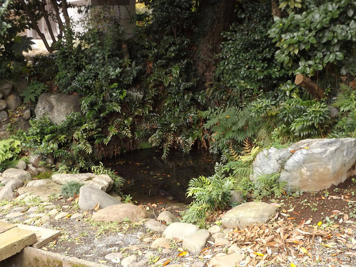 Ebina00