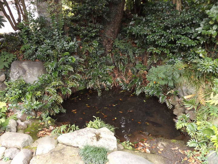 Ebina03