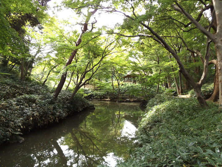 Rikugien06