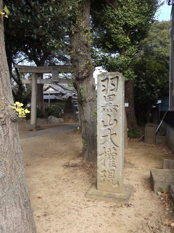 Toda_haguro5