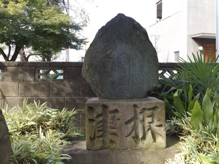 Toda_haguro6