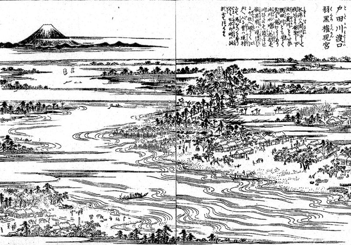 Toda_haguro9a