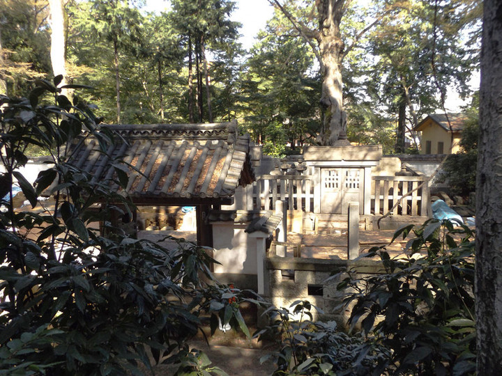 Kitain_haka1