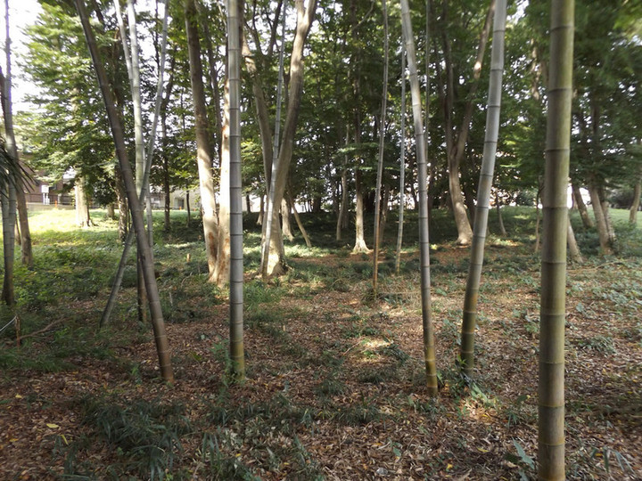 Urawa_omuro5