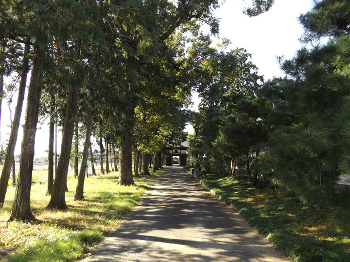 Kawashima_koutokuji07