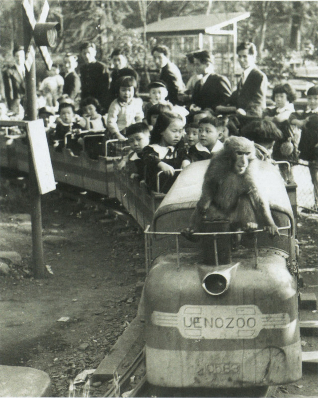 Taitouku_doubutsuen2