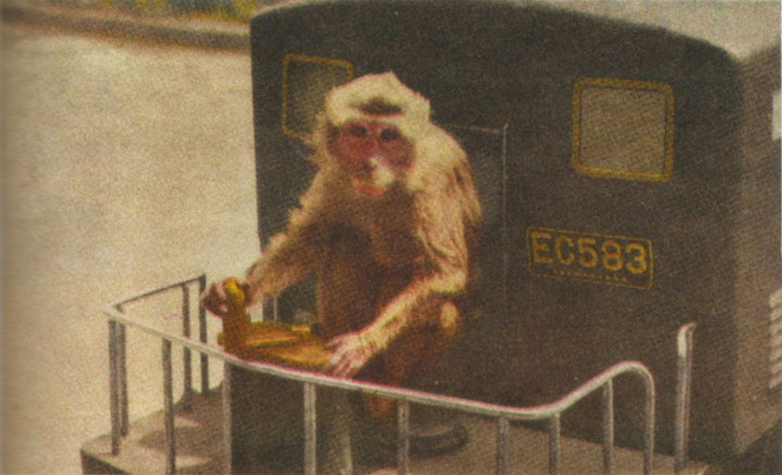 Taitouku_doubutsuen5