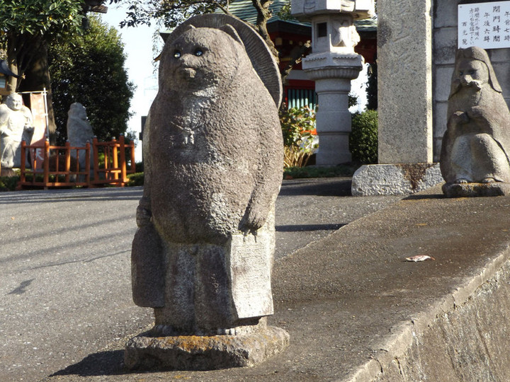 Kawaguchi_saikoin7
