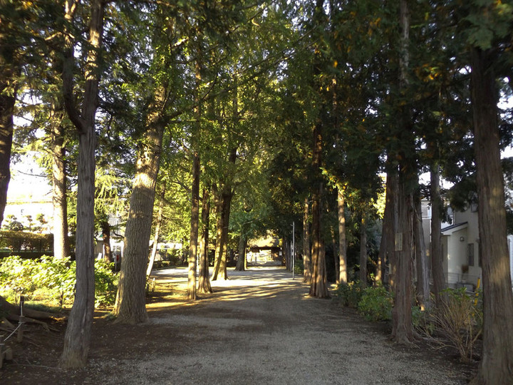Urawa_kichijyoji82