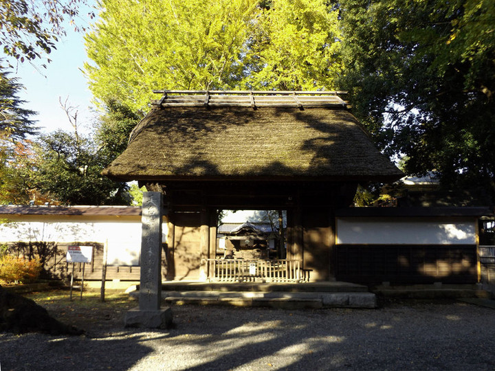 Urawa_kichijyoji83