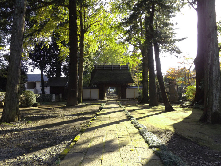 Urawa_kichijyoji85