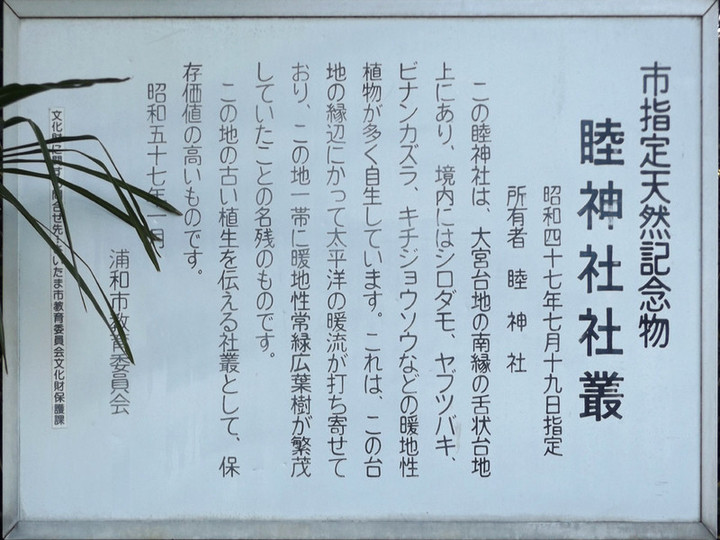 Urawa_mutsumi6