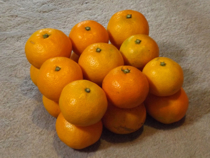 Mikan18