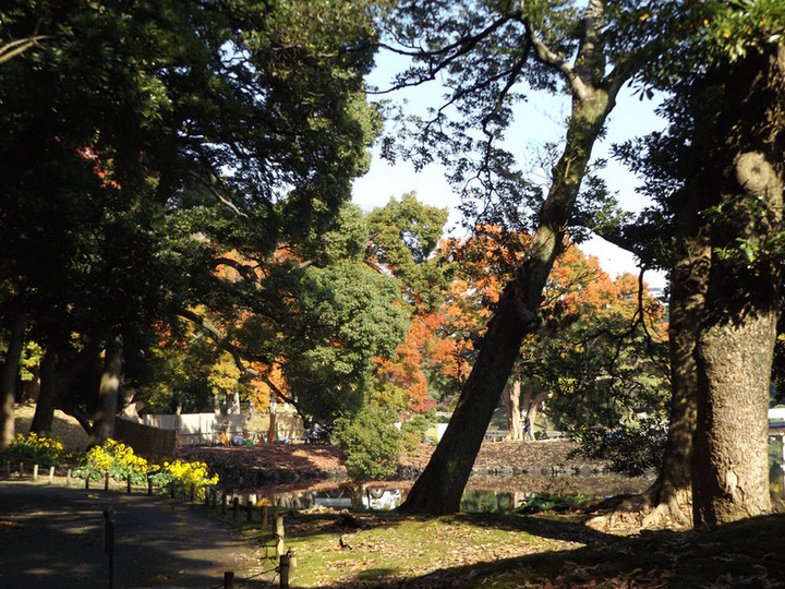 Hamarikyu05