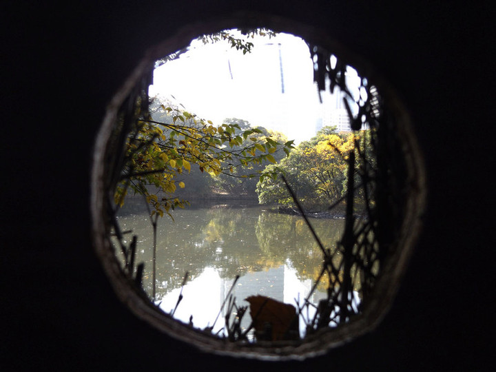 Hamarikyu11