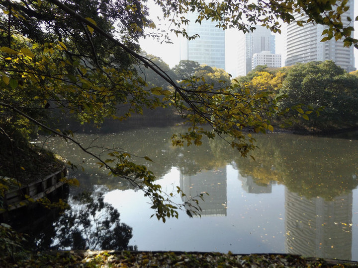 Hamarikyu13