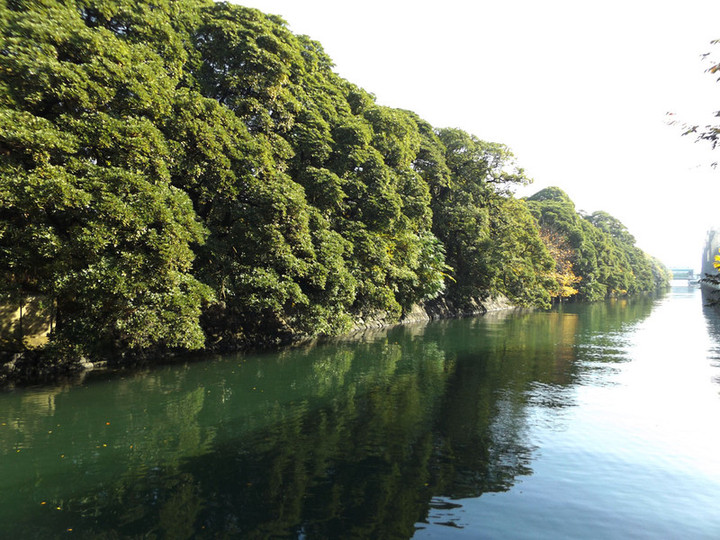 Hamarikyu19
