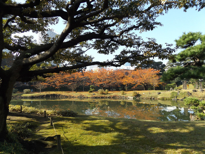 Shibarikyu02