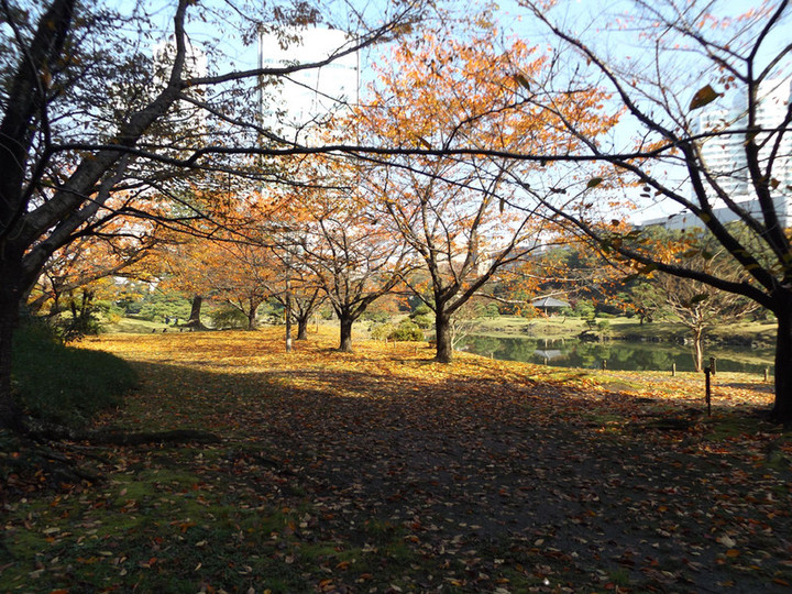 Shibarikyu03