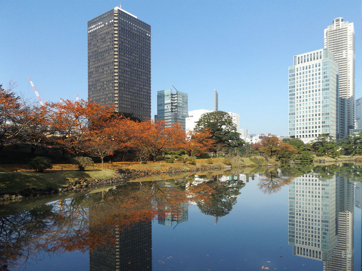 Shibarikyu08