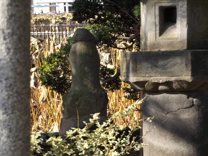 Shinobazu_higejizo3