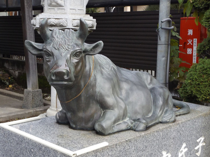 Urawa_dojyo18