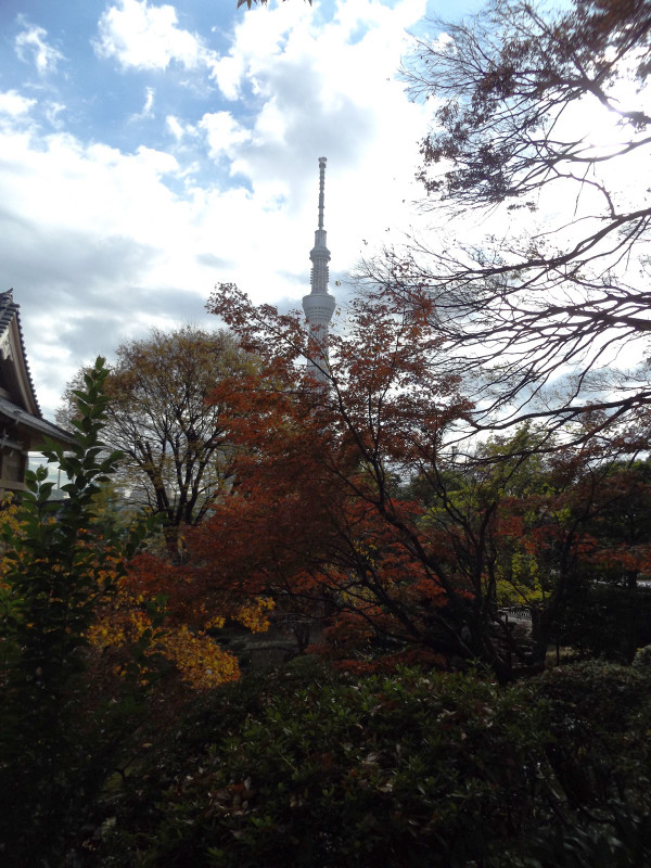 Taitouku_matsuchi07
